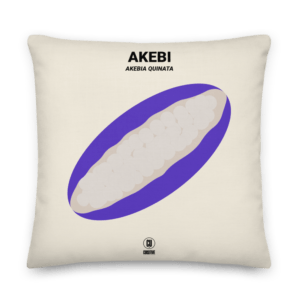 The Akebi Premium Cushion
