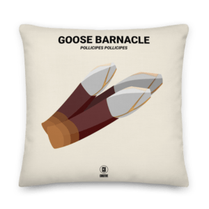 The Goose Barnacle Premium Cushion