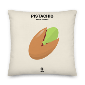 The Pistachio Premium Cushion